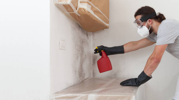 Professional Mold Testing technician working in Hamburg, MN